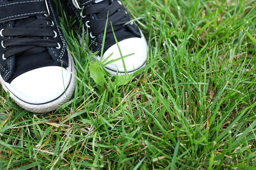 Child's legs in sneakers on green grass. The concept of youth and freedom