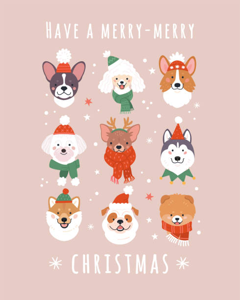 ilustraciones, imágenes clip art, dibujos animados e iconos de stock de tarjeta de felicitación de navidad. - pet collar