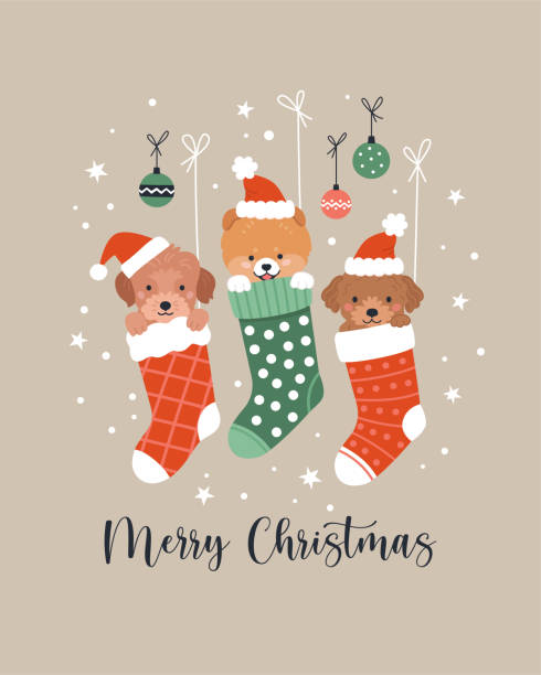 ilustrações, clipart, desenhos animados e ícones de cartão de natal. - shih tzu cute animal canine