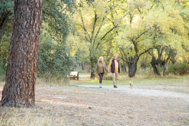 istock Mature couple walking a dog in a forest 1435247043