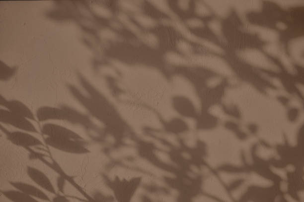 istock Shadow of leaves on brown concrete wall texture background 1435247697