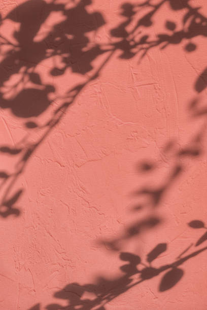 istock Shadow of leaves on pink concrete wall texture background 1435248659