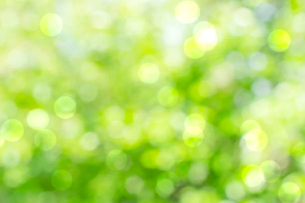 istock Green background blur,holiday wallpaper 1435248865