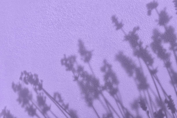 Shadow of flowers on purple concrete wall texture with roughness and irregularities. Abstract trendy colored nature concept background. Copy space for text overlay, poster mockup flat lay