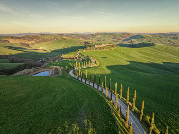 istock Tuscany spring landscape from aerial view 1435251342
