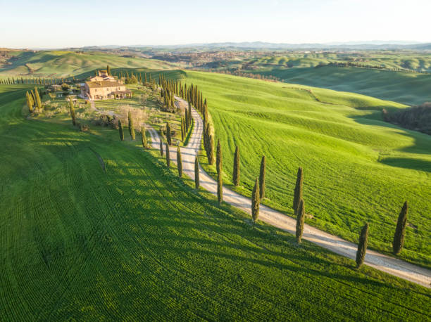 istock Tuscany spring landscape from aerial view 1435251383