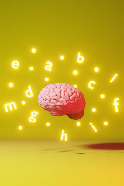 Fluency Backround 30+ Cultural Fluency Stock Photos, Pictures & Royalty-Free Images - iStock