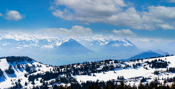 The mountain view  of Pine trees as snow-capped mount peaks in  Swiss Mountain alps against the blue sky background