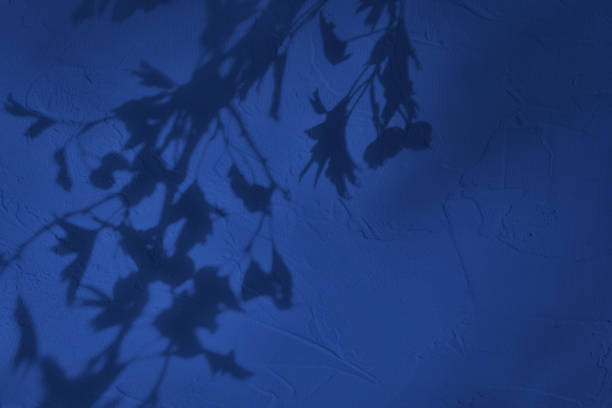Shadow of leaves on blue concrete wall texture with roughness and irregularities. Abstract trendy colored nature concept background. Copy space for text overlay, poster mockup flat lay