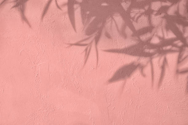 istock Shadow of leaves on pink concrete wall texture background 1435253403