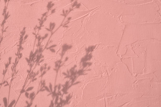 istock Shadow of leaves on pink concrete wall texture background 1435253583