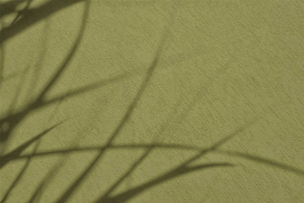 Abstract grass leaves shadows on olive green concrete wall texture with roughness and irregularities. Abstract trendy nature concept background. Copy space for text overlay, poster mockup flat lay