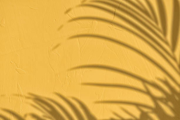 istock Palm leaves shadow on yellow concrete wall texture background 1435255106