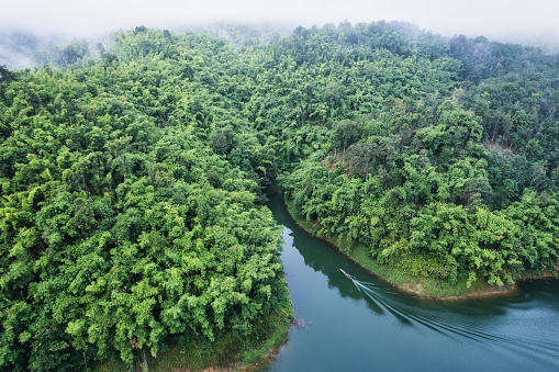 Aerial view of foggy river and boat sailing in tropical rainforest of abundance ecosystem in the morning. Sustainable living and decarbonisation concept