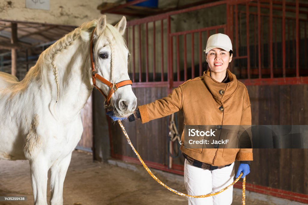 Woman holding rein and leading horse out of stable Asian woman rancher holding rein and leading horse out of stable. 30-34 Years Stock Photo