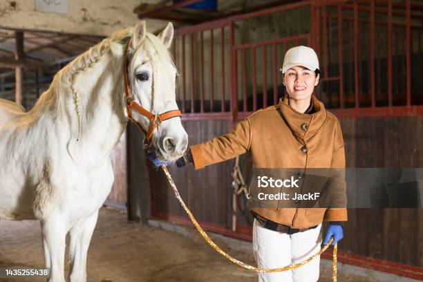 Woman Holding Rein And Leading Horse Out Of Stable Stock Photo - Download Image Now - 30-34 Years, 35-39 Years, Adult