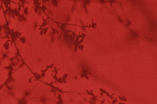 Shadow of leaves and flowers on red concrete wall texture with roughness and irregularities. Abstract trendy colored nature concept background. Copy space for text overlay, poster mockup flat lay