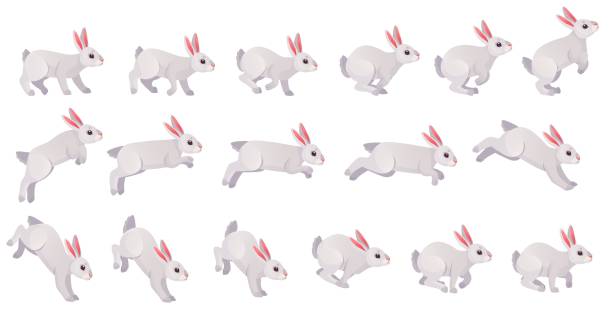illustrazioni stock, clip art, cartoni animati e icone di tendenza di animazione del coniglio. bunny jump o ciclo di movimento in esecuzione animato per il gioco 2d, velocità correre lepre corpo animale sequenza frame set sprite foglio mossa diversa, ingegnosa illustrazione vettoriale - rabbit