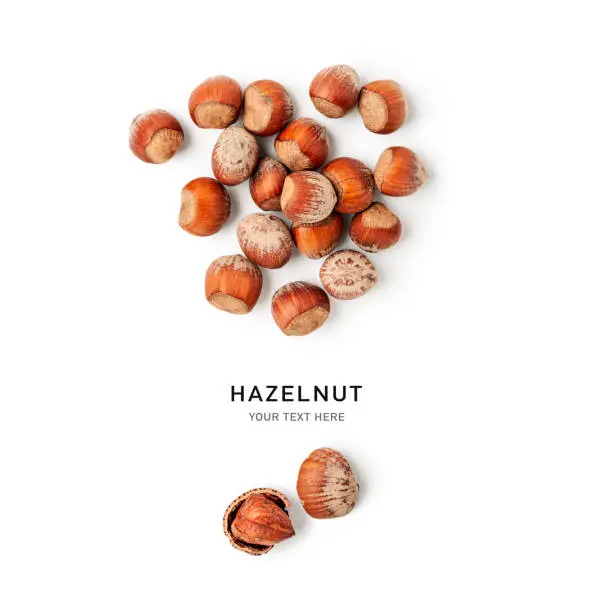 Photo of Hazelnut nuts creative layout