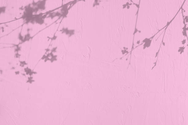 istock Shadow of leaves on pink concrete wall texture background 1435263846