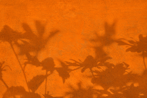 Abstract flowers shadows on orange concrete wall texture with roughness and irregularities. Abstract trendy colored nature concept background. Copy space for text overlay, poster mockup flat lay
