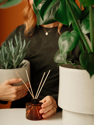 Woman with potted houseplant and fragrance sticks casual photo in studio
Very little retouch on skin real 40 + woman