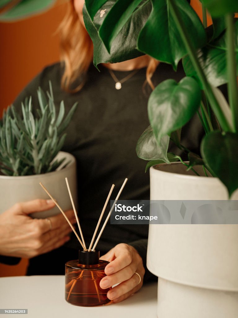 Woman with potted houseplant and fragrance sticks Woman with potted houseplant and fragrance sticks casual photo in studio
Very little retouch on skin real 40 + woman Aromatherapy Diffuser Stock Photo