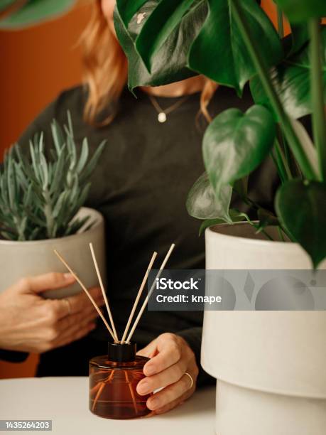 Woman With Potted Houseplant And Fragrance Sticks Stock Photo - Download Image Now - Aromatherapy Diffuser, Aromatherapy, One Woman Only