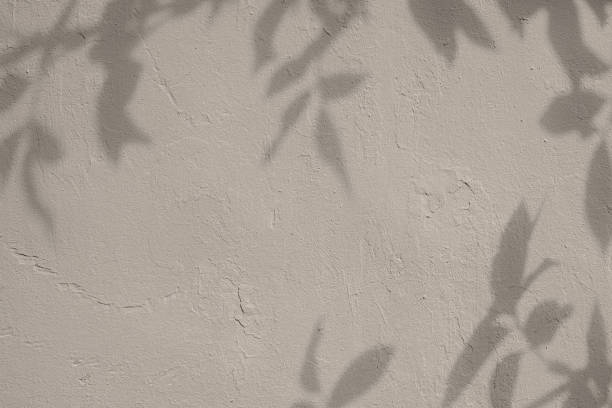 istock Shadow of leaves on beige concrete wall texture background 1435265427