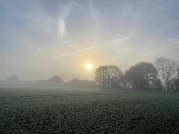 hermosa mañana brumosa y brumosa - suffolk winter england fog fotografías e imágenes de stock