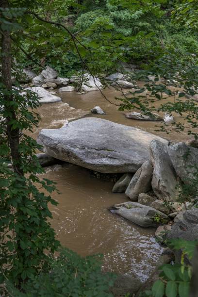 istock Vertical shot of a river with rocks surrounded by green vegetation. 1435267973