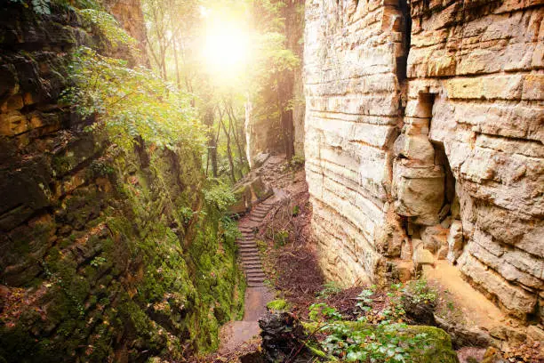 Photo of Gorges du loup or Wolfsschlucht on the Mullerthal trail near Echternach in Luxembourg, canyon with sandstone rock formation