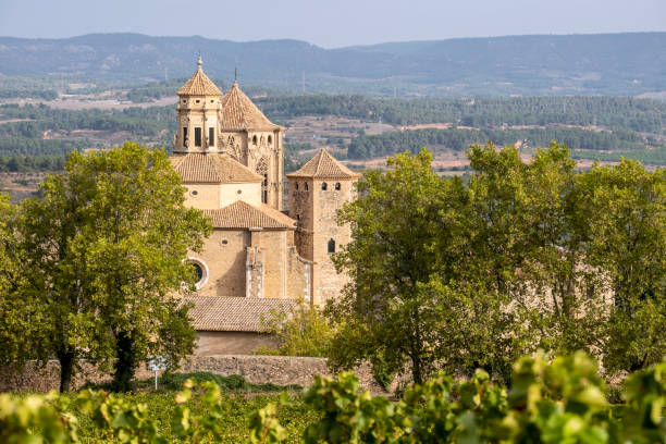 istock Santa Maria de Poblet 1435269477