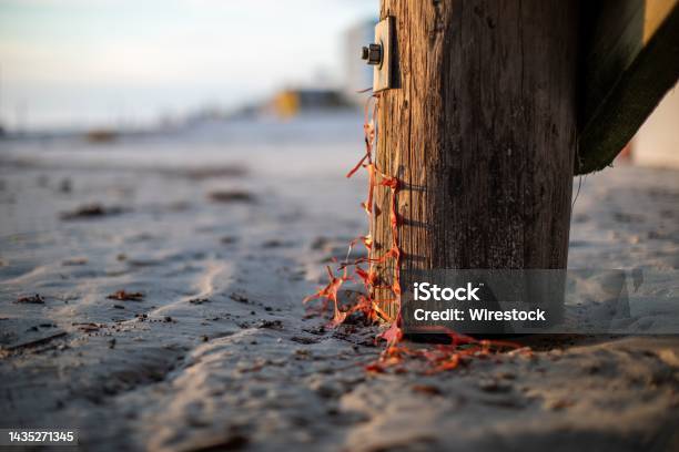 Closeup Shot Of A Pier Pole And Anchor Bolt With Plastic Fishnet In The Sandy Beach Stock Photo - Download Image Now