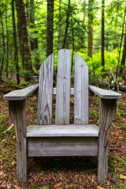 istock Single wooden chair in a forest 1435273280