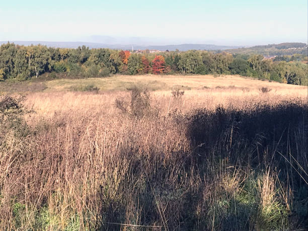 istock Wild Autumn Landscape 1435273381
