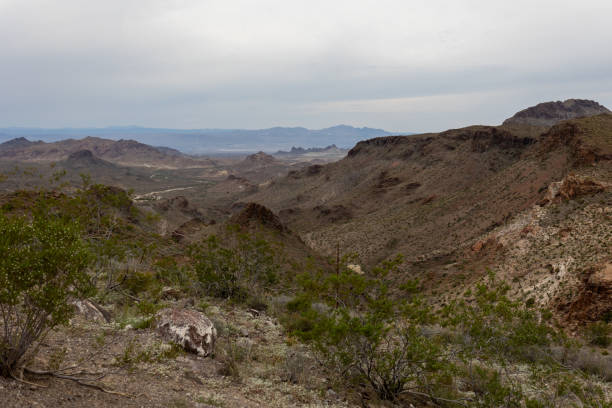 istock View of the Mount Nutt wilderness a dry desert environment 1435273640