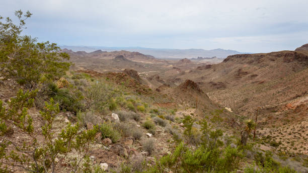 istock View of the Mount Nutt wilderness a dry desert environment 1435273642