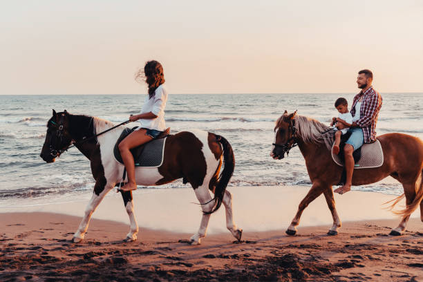 a família passa tempo com seus filhos enquanto cavalgam juntos em uma praia de areia. foco seletivo - silhouette three people beach horizon - fotografias e filmes do acervo