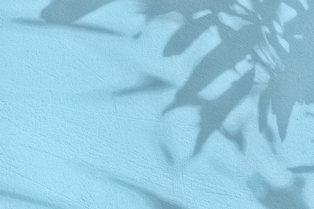istock Shadow of leaves on blue concrete wall texture background 1435275274