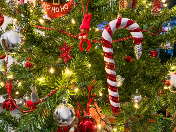 Cute Christmas ornaments hanging on tree