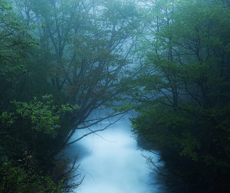 Magical Aomori ,Japan pictures