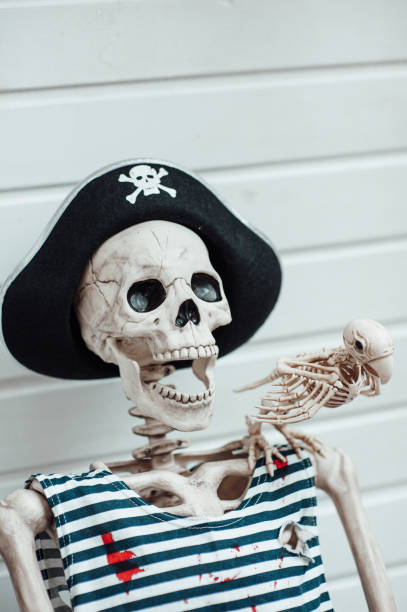 istock Halloween skeleton character in pirate costume with cocked hat black 1435277164