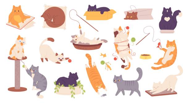 ilustraciones, imágenes clip art, dibujos animados e iconos de stock de garabatos jugando gatos. divertidos personajes de gatitos, lindo gato juega con pelota o caja, kawaii perezoso hogar mascota adorable gatito dormir acostado loco colección de pegatinas llamativos ilustración vectorial chillona - felino salvaje