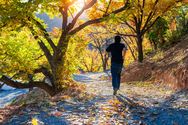 Men run in the autumn trees