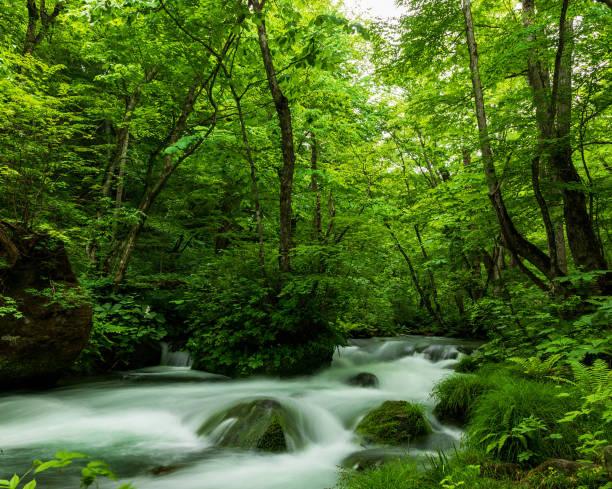 istock Magical Aomori ,Japan pictures 1435281315