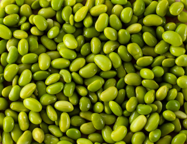 istock Glycine max - Organic fresh soybeans background 1435282246