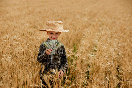 Little boy is holding dollars among a field of ripe ears of corn. Profit from agriculture during harvesting season in the summer.