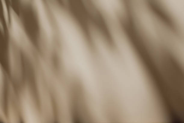 istock scene with white podium on beige background and shadows 1435284021