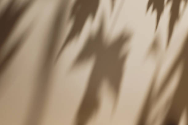 istock scene with white podium on beige background and shadows 1435284239